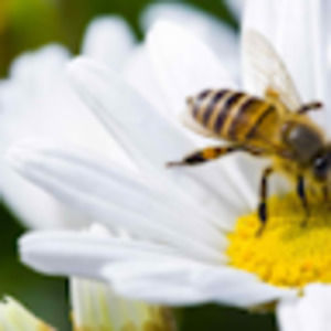 Meet your Posher, Dane